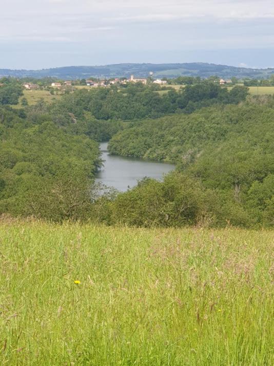 Gite Le Coeurdonnier Sainte-Gemme (Tarn) Exterior foto